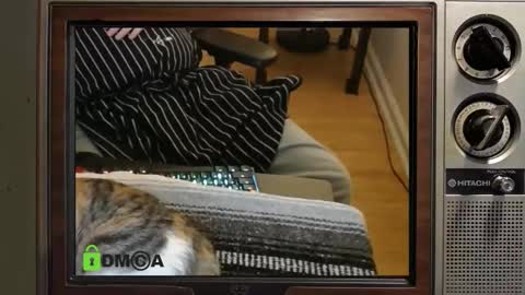 Snapshot of e8849c chatting on November 2025 11:03:01 PM e8849c online show from November 2025 11:03:01 PM