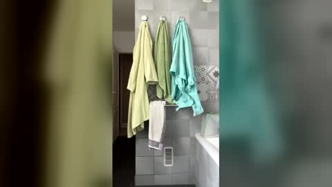 French Guy online show from April 2026 10:44:01 AM