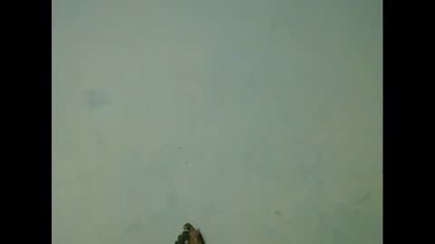 Snapshot of eatuupx chatting on March 2025 02:07:02 AM eatuupx online show from March 2025 02:07:02 AM