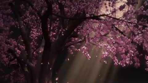 EdenArcadia online show from June 2026 05:12:01 AM
