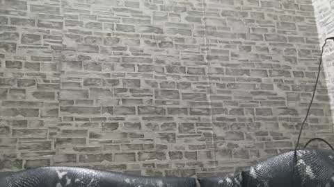 edithmanning online show from January 2025 03:33:01 AM