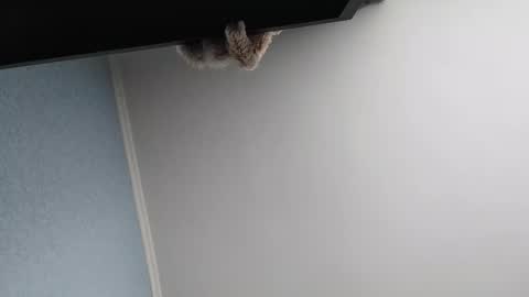 edithmanning online show from March 2026 05:47:02 AM