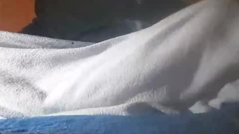 Davide online show from November 2025 06:36:02 AM