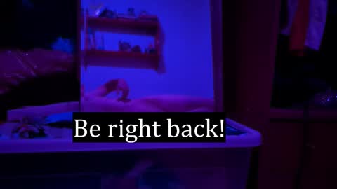 Snapshot of edwarh_01 chatting on February 2026 12:25:02 AM Alex online show from February 2026 12:25:02 AM