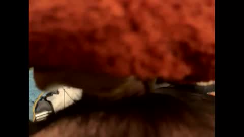 ehdgher online show from November 2025 09:21:01 AM