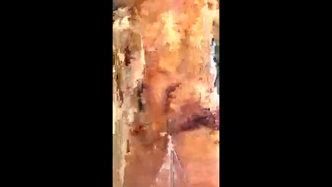 Snapshot of eirickr chatting on January 2026 07:06:01 PM eirickr online show from January 2026 07:06:01 PM