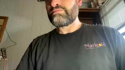 PiedPiper online show from July 2026 12:26:01 PM