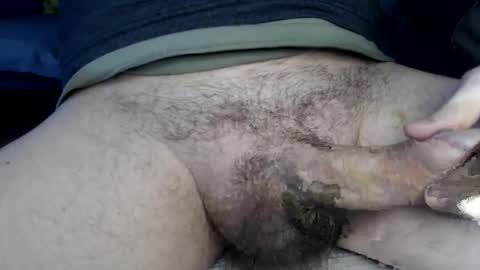 el gato lusty online show from January 2025 09:49:02 AM