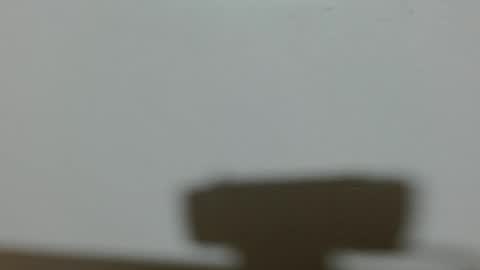 ela_3611 online show from February 2025 04:48:02 AM