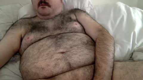 Snapshot of elago chatting on June 2026 06:45:01 PM elabear online show from June 2026 06:45:01 PM