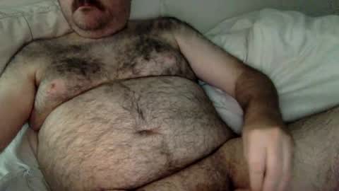 Snapshot of elago chatting on June 2026 05:26:02 AM elabear online show from June 2026 05:26:02 AM