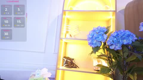 Elasummeer online show from November 2025 11:31:02 AM