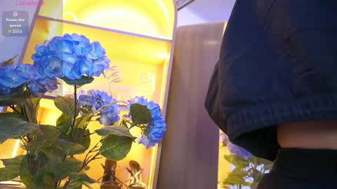 Elasummeer online show from December 2025 12:00:01 PM