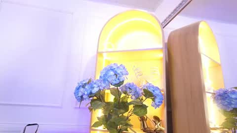 Elasummeer online show from December 2025 11:29:01 AM