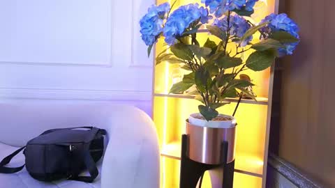 Elasummeer online show from January 2026 11:48:02 AM