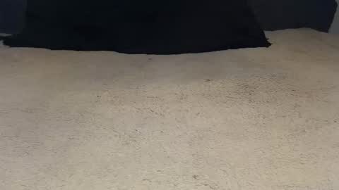 elgsslt online show from April 2026 09:30:02 AM