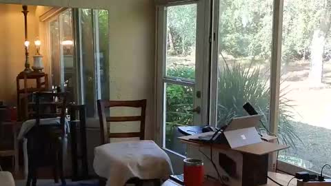 eliberator online show from December 2025 04:58:02 PM