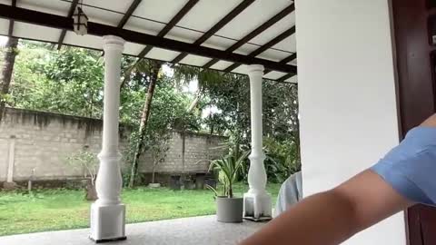   online show from January 2025 07:00:01 AM