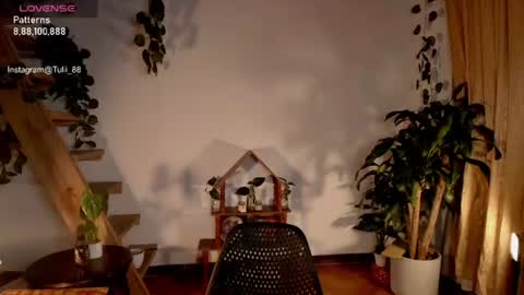 Tuli online show from June 2026 01:07:02 AM