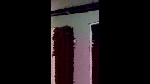 elizabit online show from March 2026 09:26:02 AM