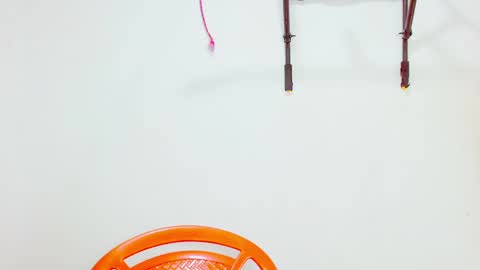 Diana online show from December 2024 04:47:02 PM