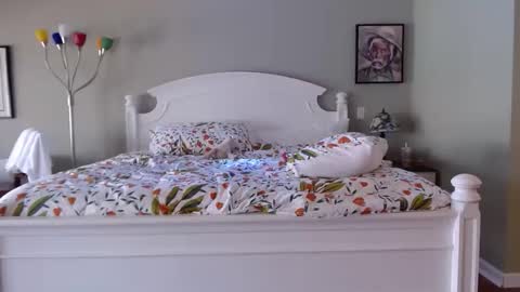 Snapshot of ellalowe chatting on March 2026 06:44:02 PM ellalowe online show from March 2026 06:44:02 PM