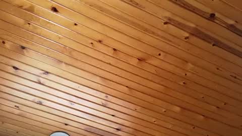 Snapshot of ellalowe chatting on March 2026 02:53:01 PM ellalowe online show from March 2026 02:53:01 PM