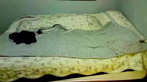 Elpouro online show from March 2026 10:01:01 AM