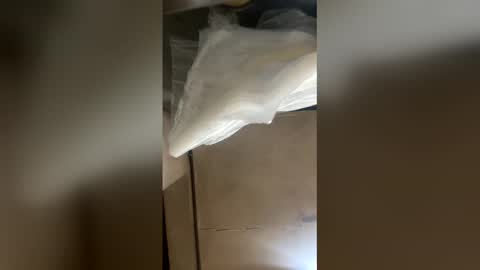 elpresi253 online show from April 2026 06:55:01 PM