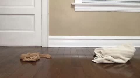 Bi Bro online show from October 2025 04:56:02 AM