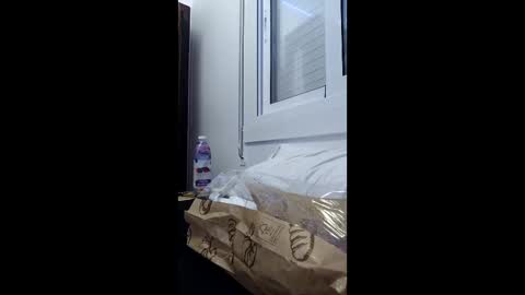 elviajeronightclub online show from February 2026 02:53:02 PM