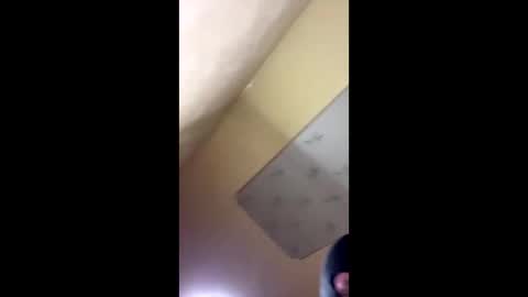 Emily online show from October 2025 08:20:01 PM