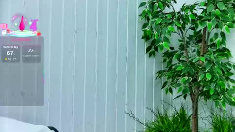 Emily online show from January 2026 07:52:02 PM