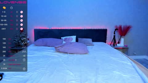 Erica online show from January 2025 12:16:02 AM