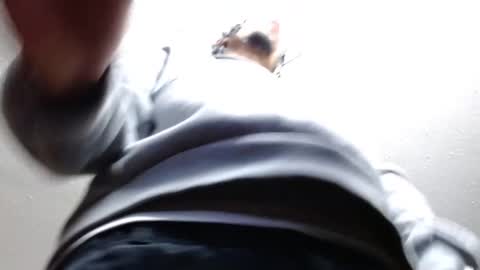 Snapshot of erick_martinezz chatting on February 2025 03:01:02 AM erick online show from February 2025 03:01:02 AM