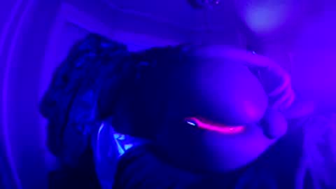 Erotic  Kryptonite online show from February 2026 02:03:02 PM