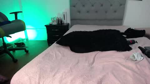 Perla online show from November 2025 06:03:01 AM