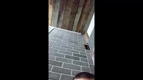 Snapshot of ethanfish600 chatting on March 2026 07:25:02 AM ethanfish600 online show from March 2026 07:25:02 AM