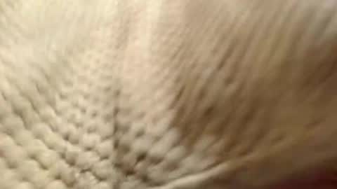 Snapshot of evahootxx chatting on December 2024 07:29:02 AM EVA online show from December 2024 07:29:02 AM