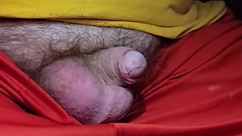 EV47 online show from February 2026 08:00:02 AM