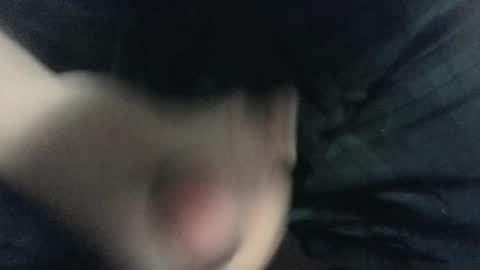 Snapshot of evolite_ chatting on February 2025 07:49:01 AM evolite_ online show from February 2025 07:49:01 AM
