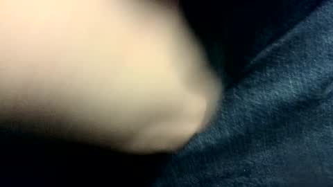 evolite_ online show from November 2025 09:36:02 PM