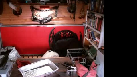 Snapshot of evpierce chatting on April 2026 07:13:01 AM EvPierce online show from April 2026 07:13:01 AM