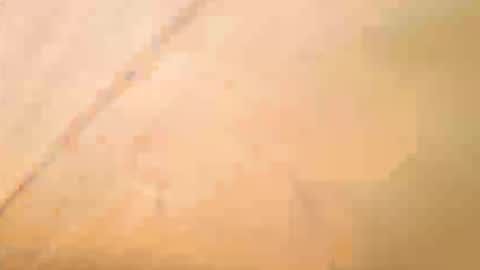 Exhibboytoy3 online show from May 2026 12:59:01 PM