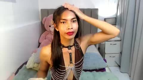 Lixe online show from June 2026 11:47:02 AM