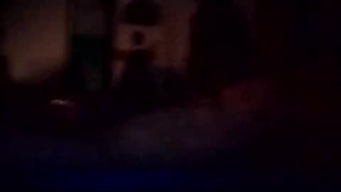 experttreecompany online show from March 2026 12:11:01 PM