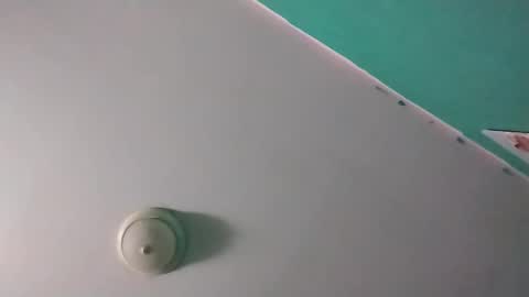 experttreecompany online show from March 2026 10:10:02 AM