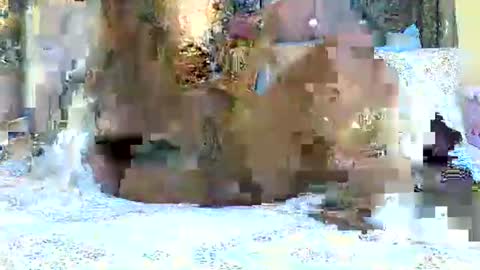 Snapshot of explicitly_certified chatting on March 2025 07:49:02 PM explicitly_certified online show from March 2025 07:49:02 PM