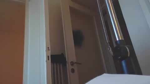 EZCODA online show from January 2025 02:43:01 PM