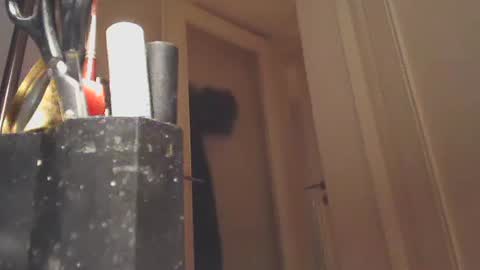 EZCODA online show from January 2025 10:57:01 PM